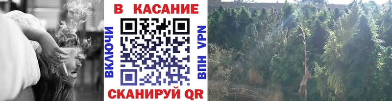 Что такое Мурино Бутират  Меф мяу мяу  Бошки Шишки  Cocaine  Alpha-PVP 