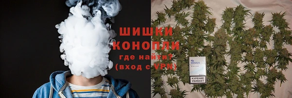 крисы Абдулино