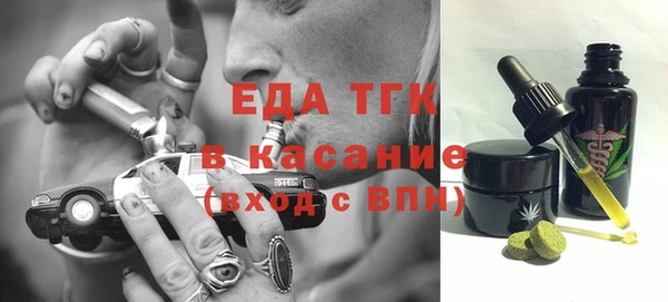тгк Абаза