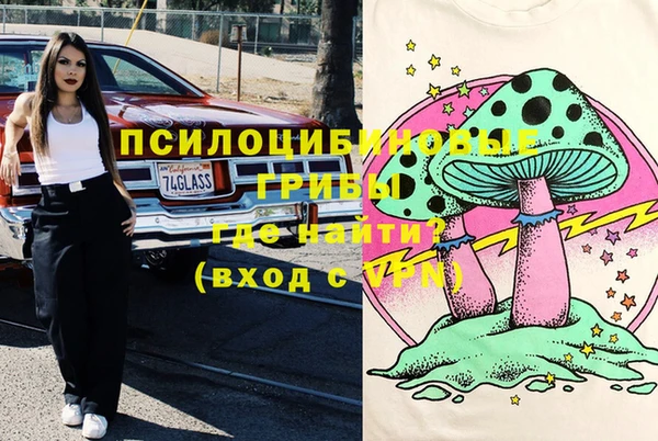 крисы Абдулино