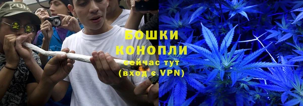 крисы Абдулино
