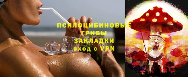 крисы Абдулино