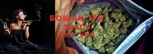 тгк Абаза