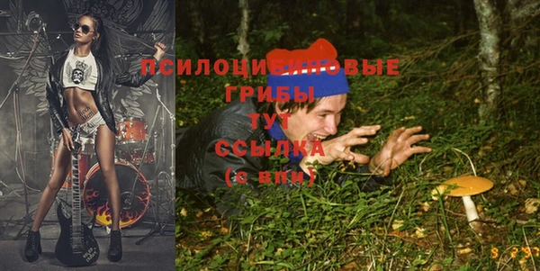 тгк Абаза