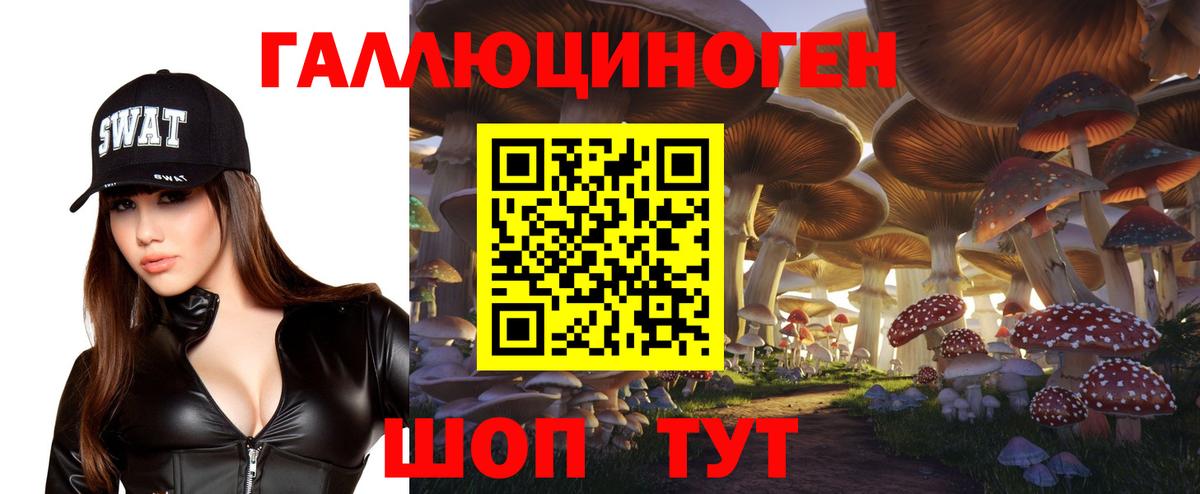 Мурино  Галлюциногенные грибы ЛСД  Вход с VPN  наркотики  Галлюциногенные грибы MAGIC MUSHROOMS 